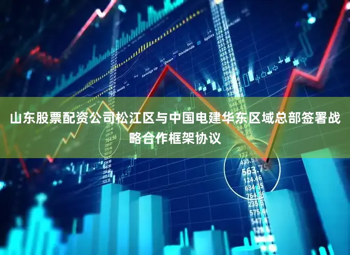 山东股票配资公司松江区与中国电建华东区域总部签署战略合作框架协议