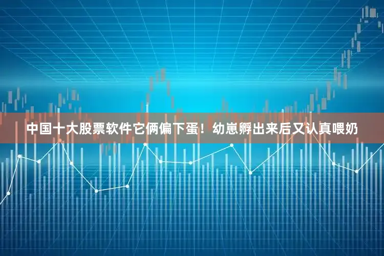 中国十大股票软件它俩偏下蛋！幼崽孵出来后又认真喂奶