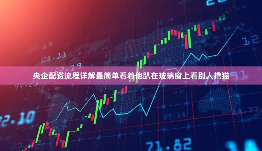 央企配资流程详解最简单看着他趴在玻璃窗上看别人撸猫